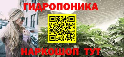 мдма Новозыбков