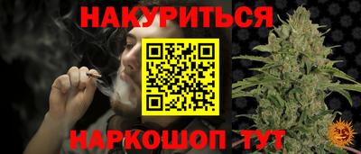 прущие грибы Новокубанск