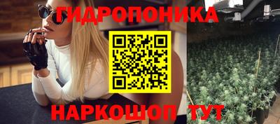 прущие грибы Новокубанск