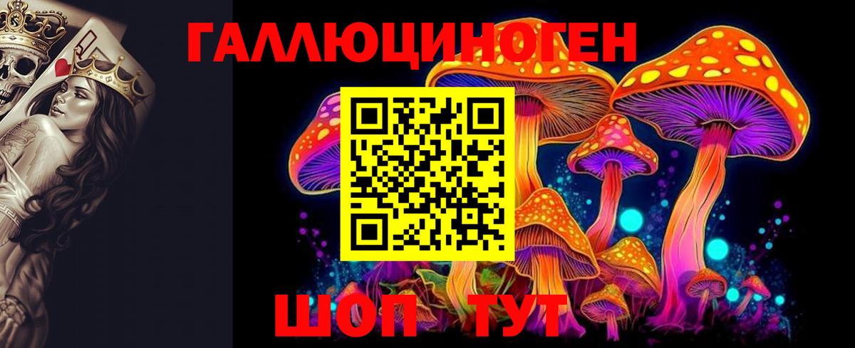 Ульяновск  Галлюциногенные грибы Psilocybe  что такое   Вход с VPN 